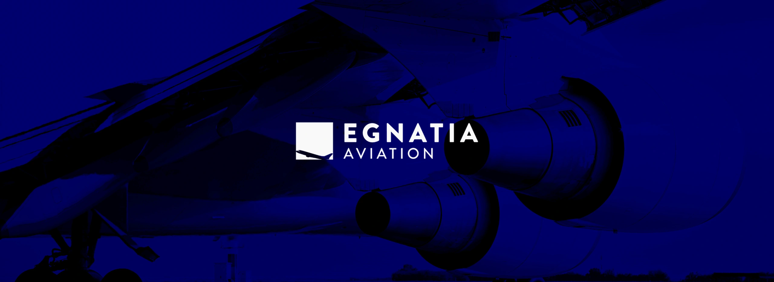 δημιουργία-brand-guidelines-egnatia-aviation